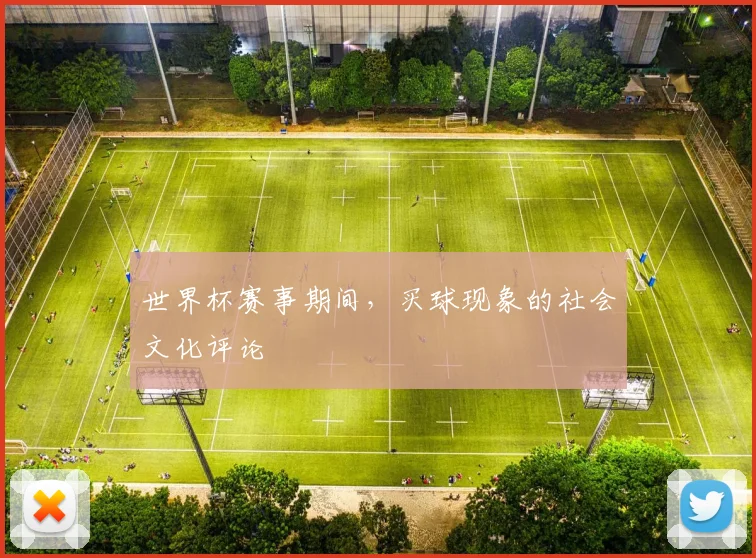 世界杯赛事期间,买球现象的社会文化评论