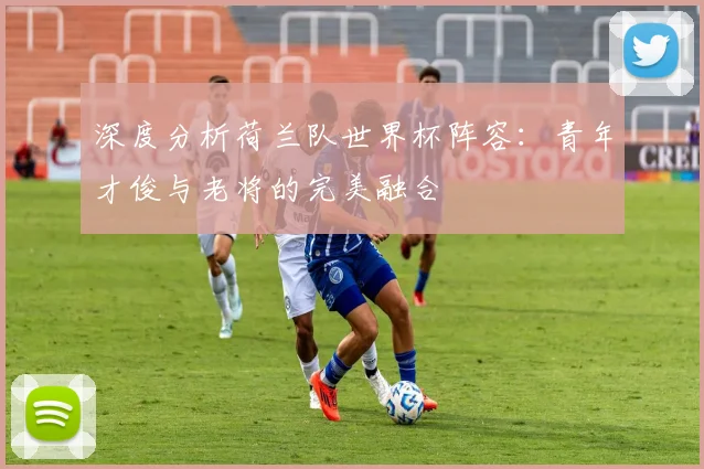 深度分析荷兰队世界杯阵容：青年才俊与老将的完美融合